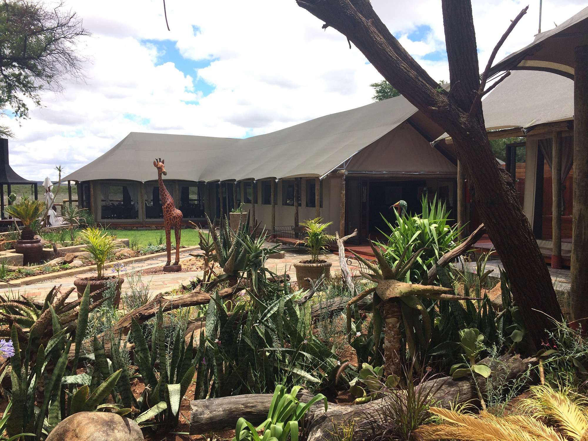 Tau Game Lodge, Madikwe Game Reserve - Luxury Safari Lodges In South Africa