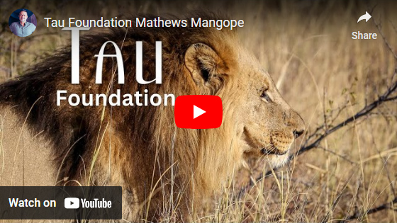 The Tau Foundation initiative at Tau Game Lodge