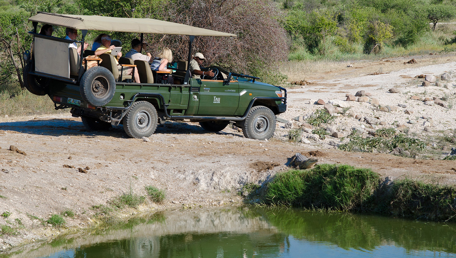 the malaria-free Madikwe Game Reserve. Big 5